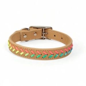 YOULY Tan and Neon Rainbow Braided Chevron Dog Collar